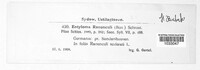 Image Associated With the Occurence